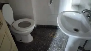 Relevante Depto 3 Amb en Villa Bonich foto 4