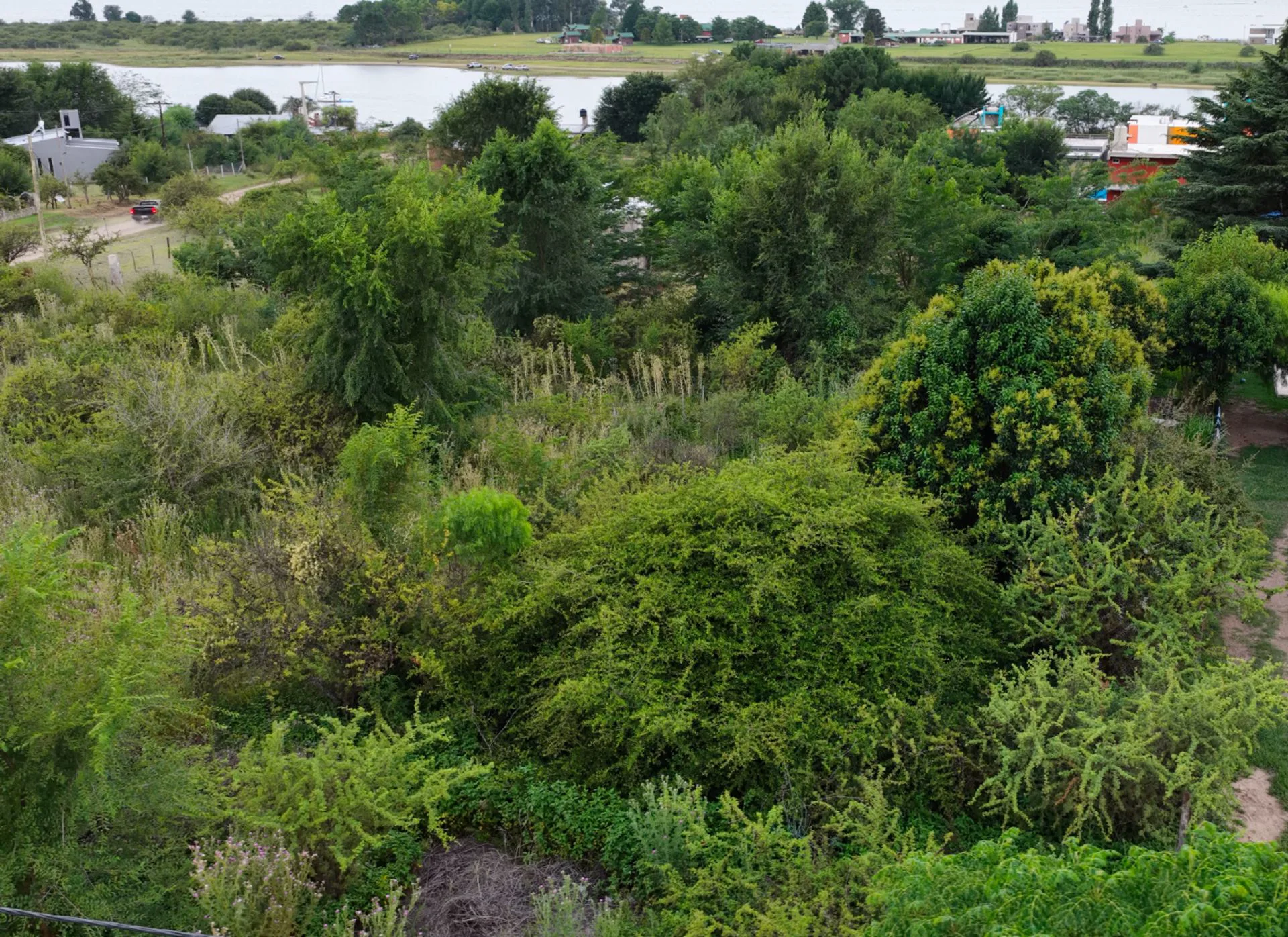 VENTA TERRENO 750MTS POTRERO DE GARAY PROXIMO LAGO foto 5