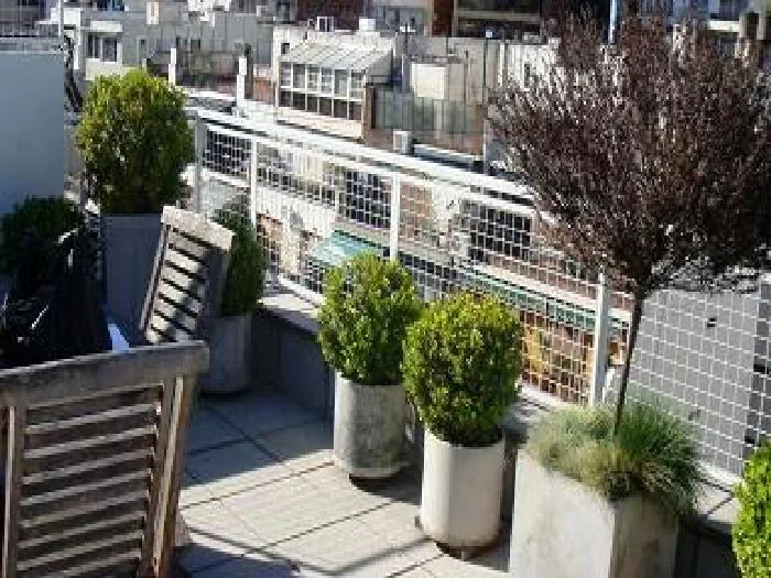 2-bedroom house in Belgrano – photo 2 of 19