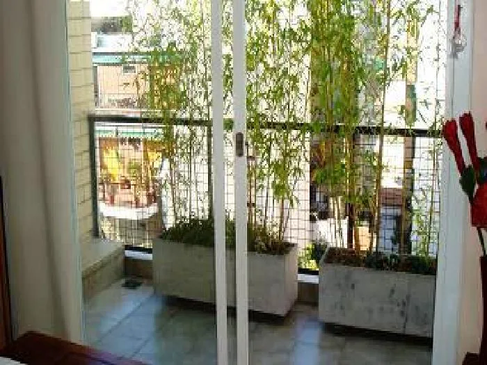 2-bedroom house in Belgrano – photo 5 of 19