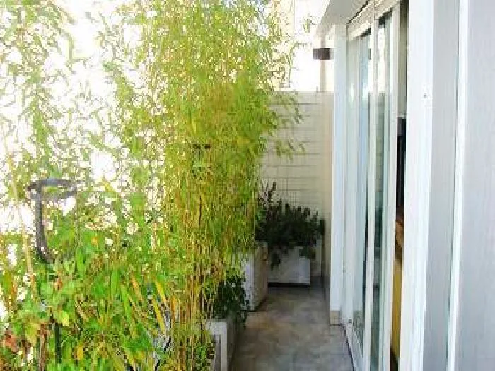 2-bedroom house in Belgrano – photo 13 of 19