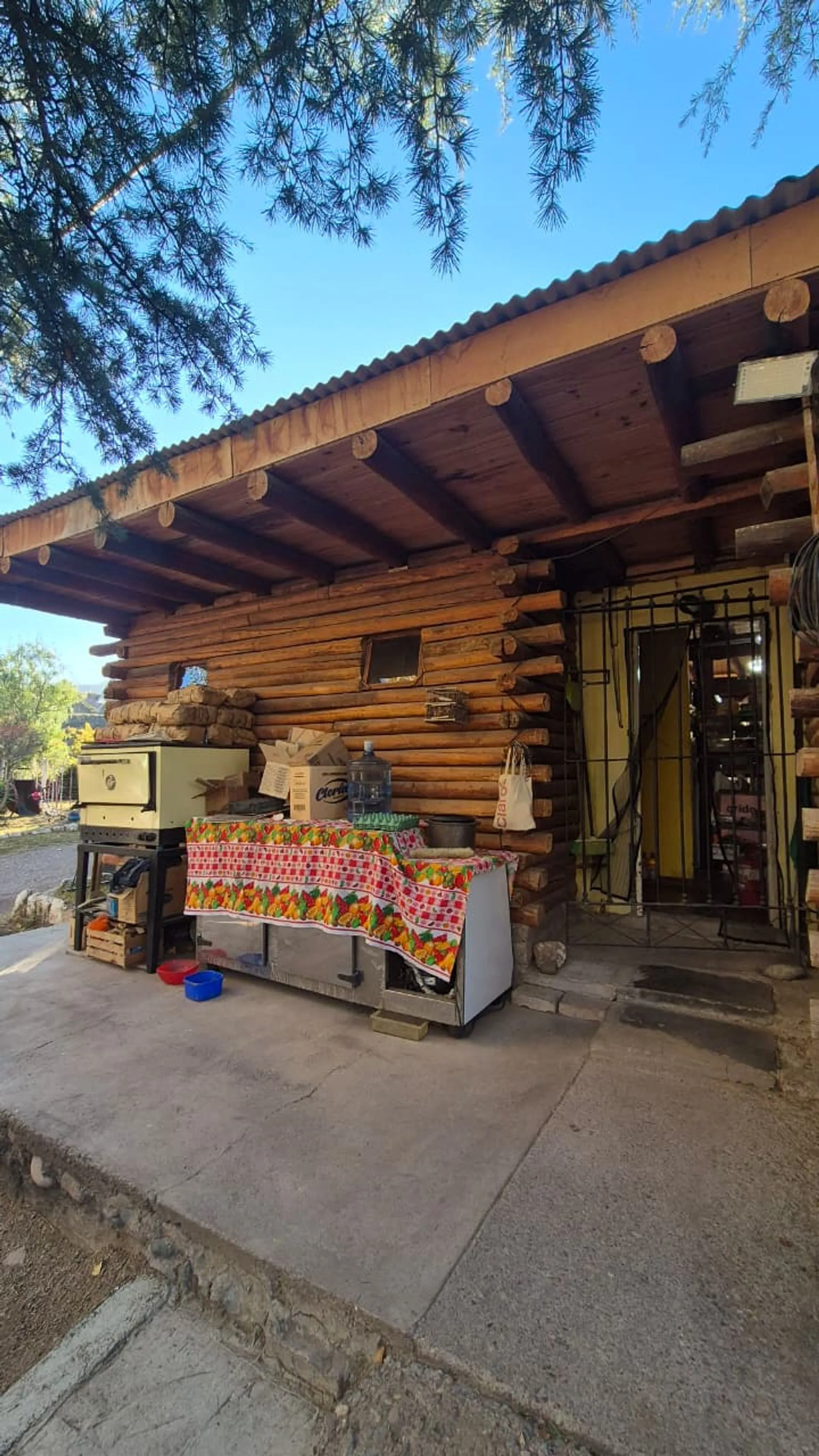 VENTA LOCAL COMERCIAL Y CASA S/RUTA  82–CACHEUTA foto 3