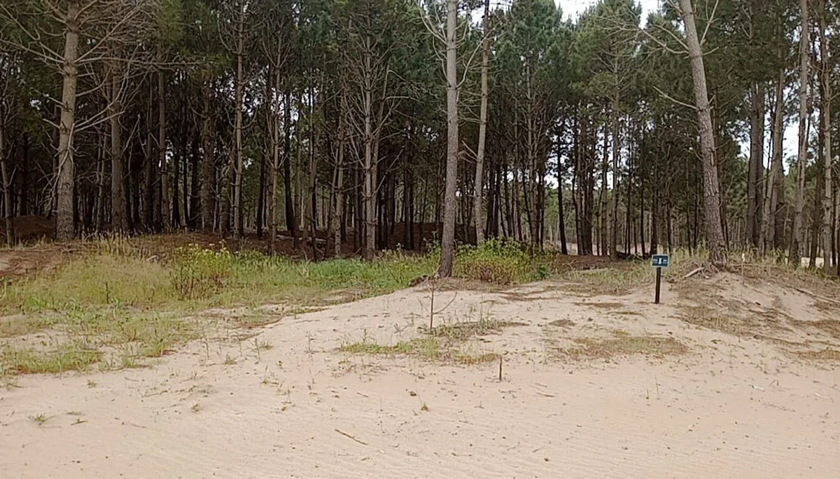 PINAMAR VENTA LOTE BARRIO BOSQUES ETAPA 3 foto 2
