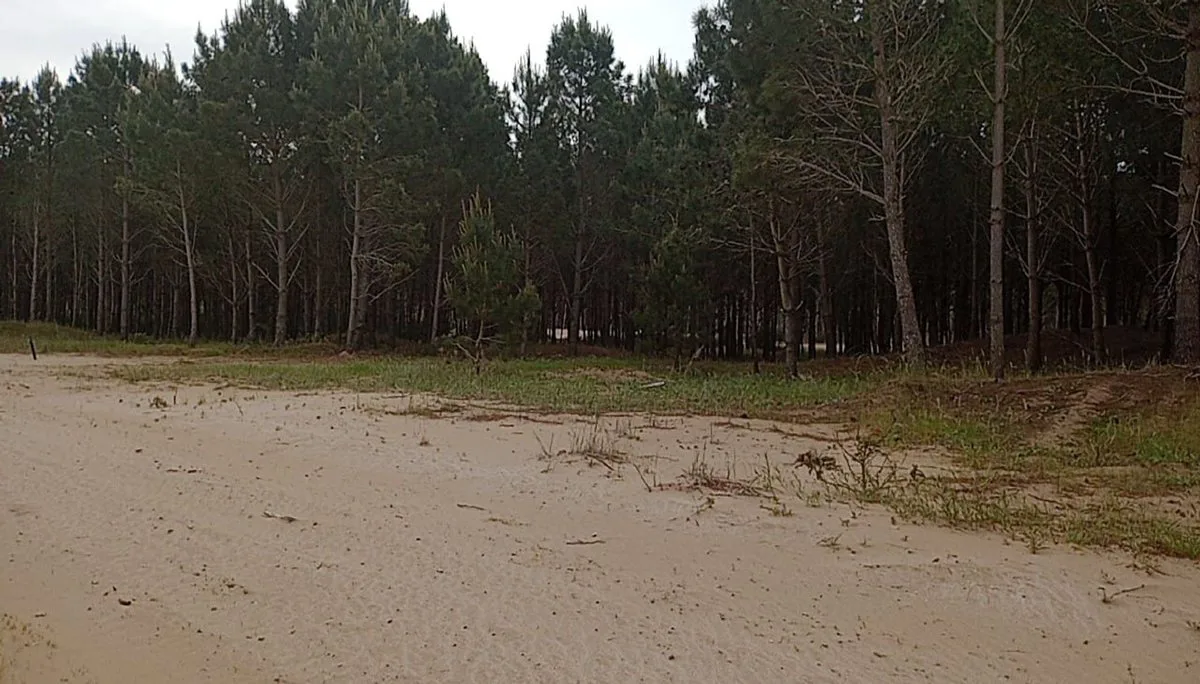 PINAMAR VENTA LOTE BARRIO BOSQUES ETAPA 3 foto 3