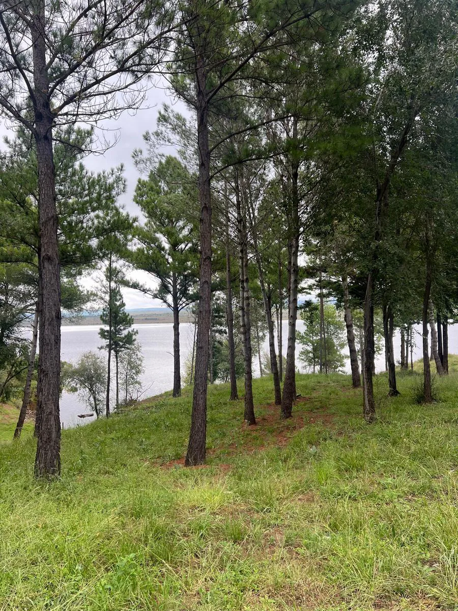 Terreno exclusivo con vista al Dique Los Molinos- Proyecto Premium Naútico foto 4