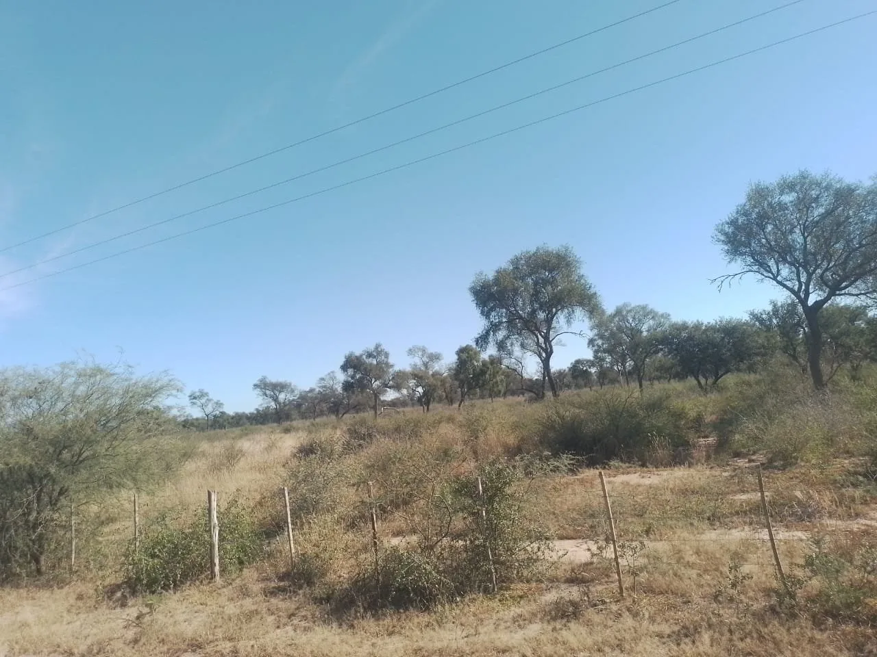 Campo agrícola de 2.000 HAS en Pellegrini, Santiago del Estero foto 2
