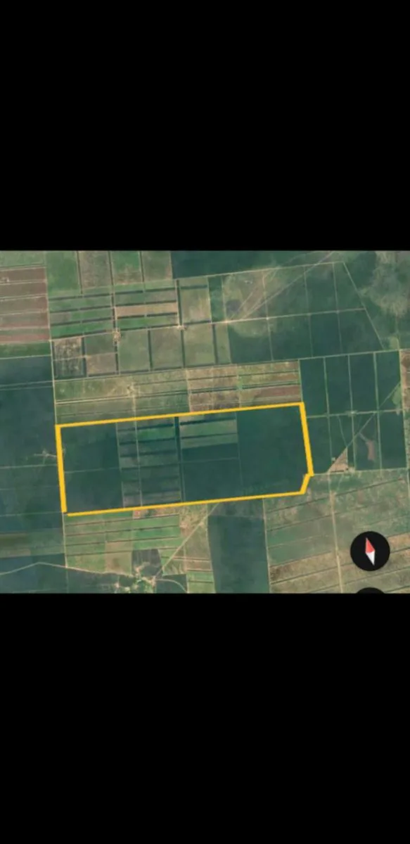 Campo agrícola de 2.000 HAS en Pellegrini, Santiago del Estero foto 3