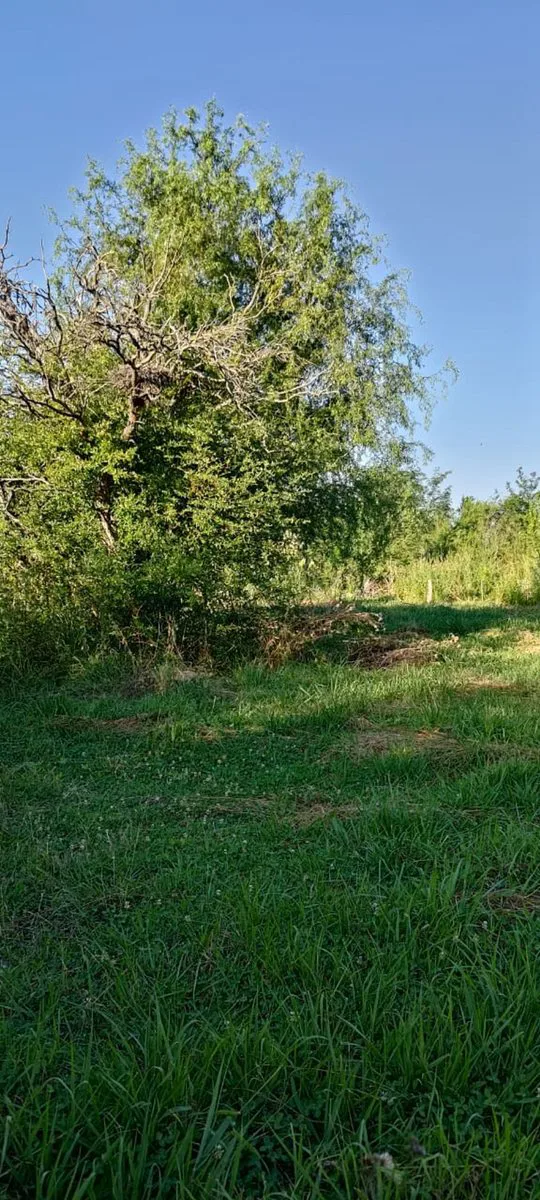 URGENTE VENTA DE TERRENO EN LA FLORIDA foto 4
