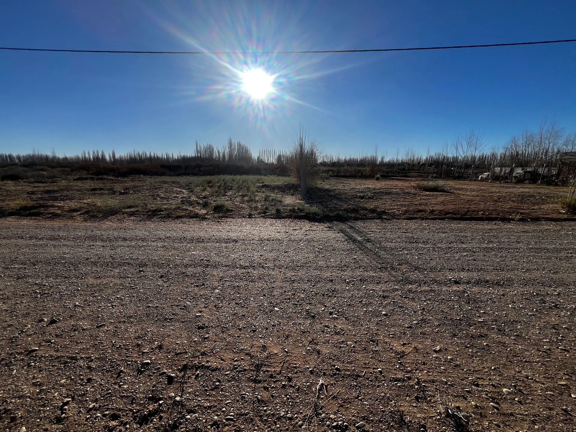 VENTA DE DOS TERRENOS CONTIGUOS SENILLOSA foto 2