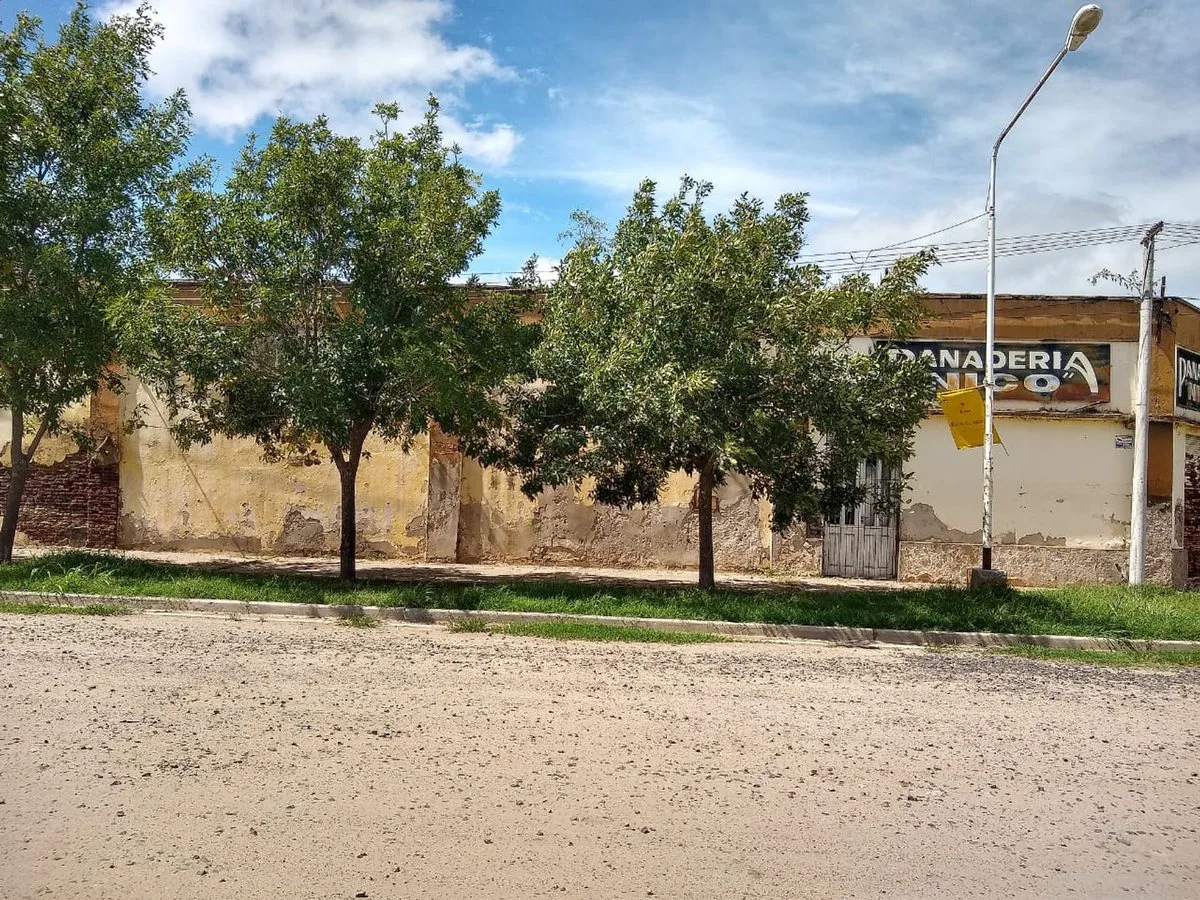 Casa a reciclar con local y terreno foto 4