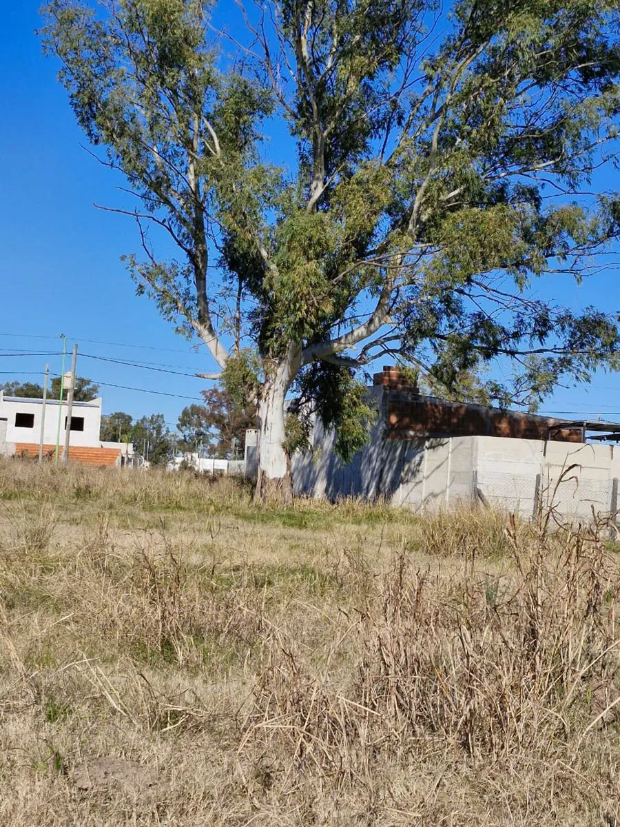Terreno En Venta En Campana Barrio Puerta Del Sol foto 5