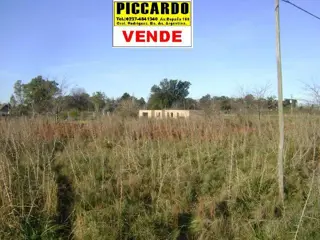 3 Lotes en venta Gral. Rodriguez B Altos Verdes Piccardo foto 3