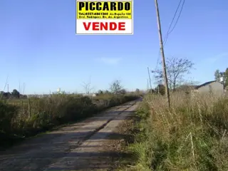 3 Lotes en venta Gral. Rodriguez B Altos Verdes Piccardo foto 4