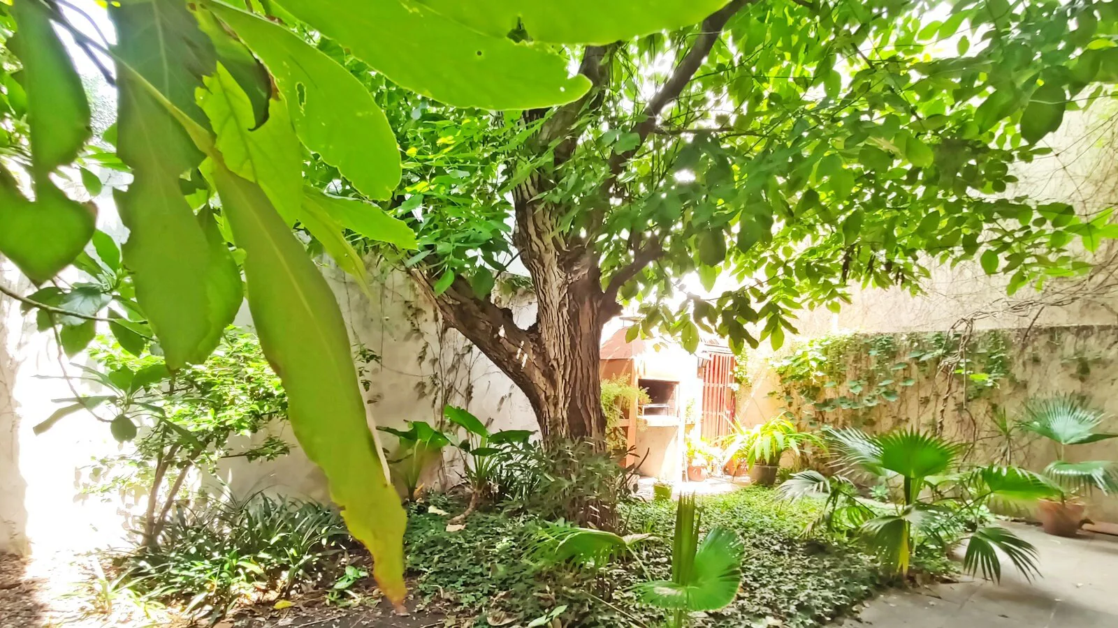 Casa con Jardín, Garaje, Terraza y Parrilla en Villa del Parque foto 5