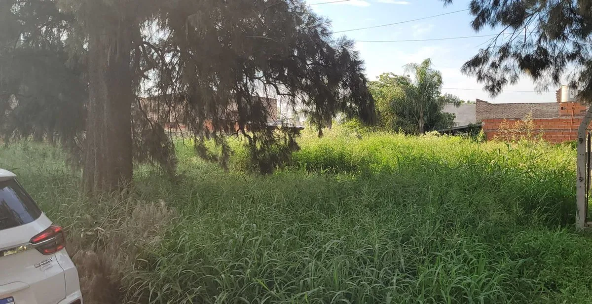 Lote en Adelina Centro, Santo Tomé foto 2