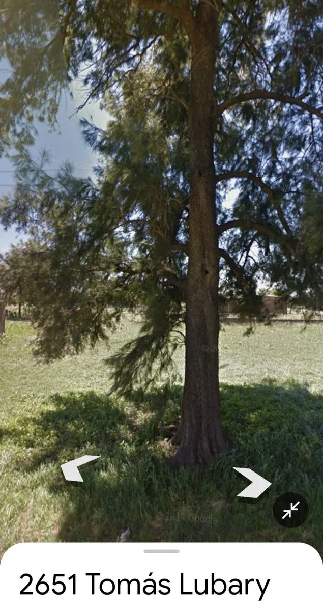 Lote en Adelina Centro, Santo Tomé foto 4