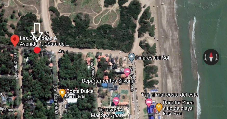 TERRENO EN VENTA COSTA DEL ESTE A 300 MTS DEL MAR foto 2