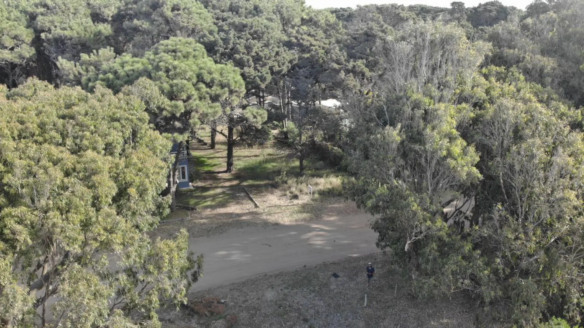 TERRENO EN VENTA COSTA DEL ESTE A 300 MTS DEL MAR foto 3