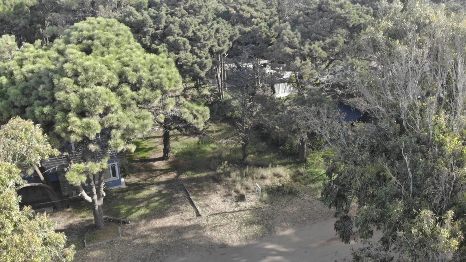 TERRENO EN VENTA COSTA DEL ESTE A 300 MTS DEL MAR foto 4