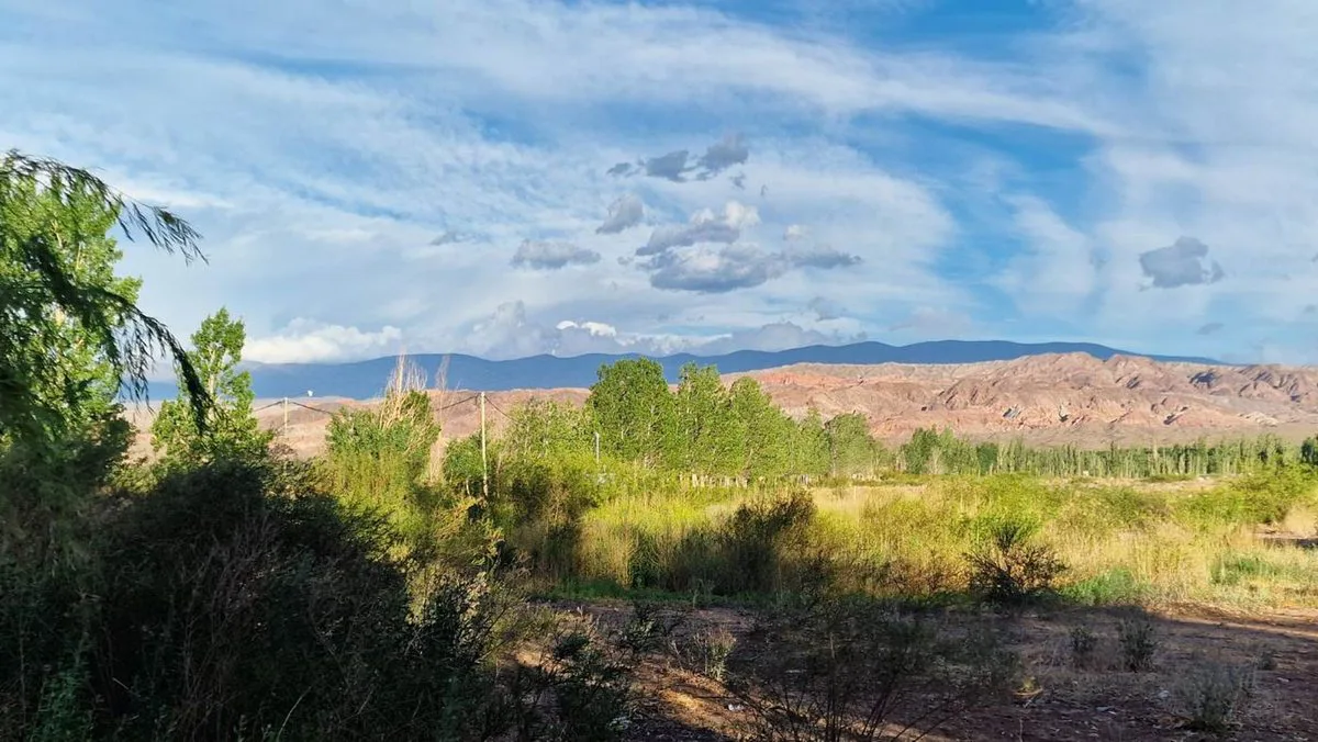 VENTA TERRENO 1.800 M2 BARREAL. ZONA PREMIUM