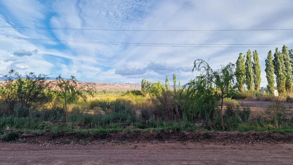 VENTA TERRENO 1.800 M2 BARREAL. ZONA PREMIUM foto 4
