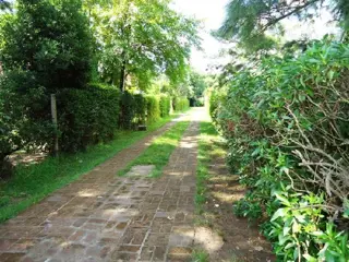 Terreno en Venta en El Talar, Tigre, Buenos Aires foto 3