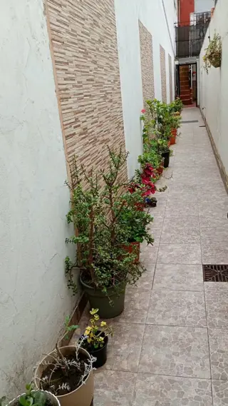 # MIRA ESTO # APTO CREDITO # PH 4 AMB # PATIO # TERRAZA foto 2