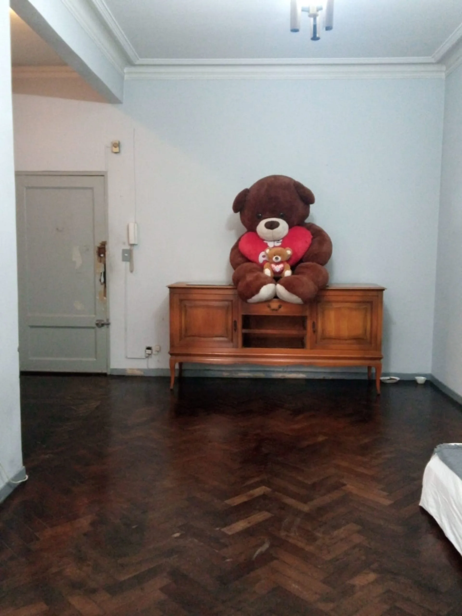 VENTA DE 2 DEPARTAMENTOS DE 2 AMBIENTES foto 2