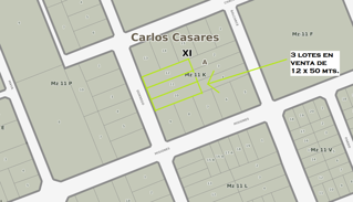 VENTA DE TERRENOS 12 X 50 EN DORREGO ENTRE MISIONES Y CHACO foto 5