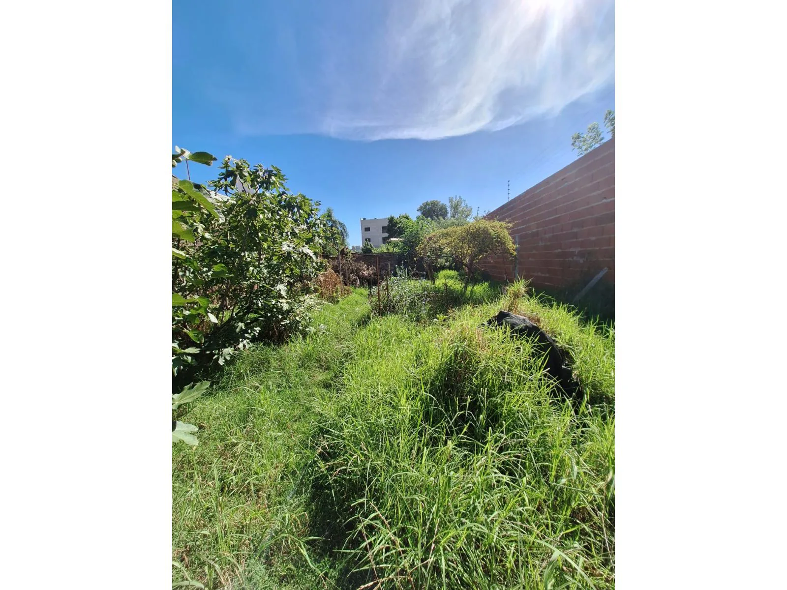 VENTA LOTE TERRENO VILLA LUZURIAGA IDEAL CONSTRUCTORES foto 3
