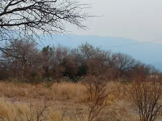 LOTES EN VENTA EN LA TRAVESÍA- LUYABA TRASLASIERRA foto 1