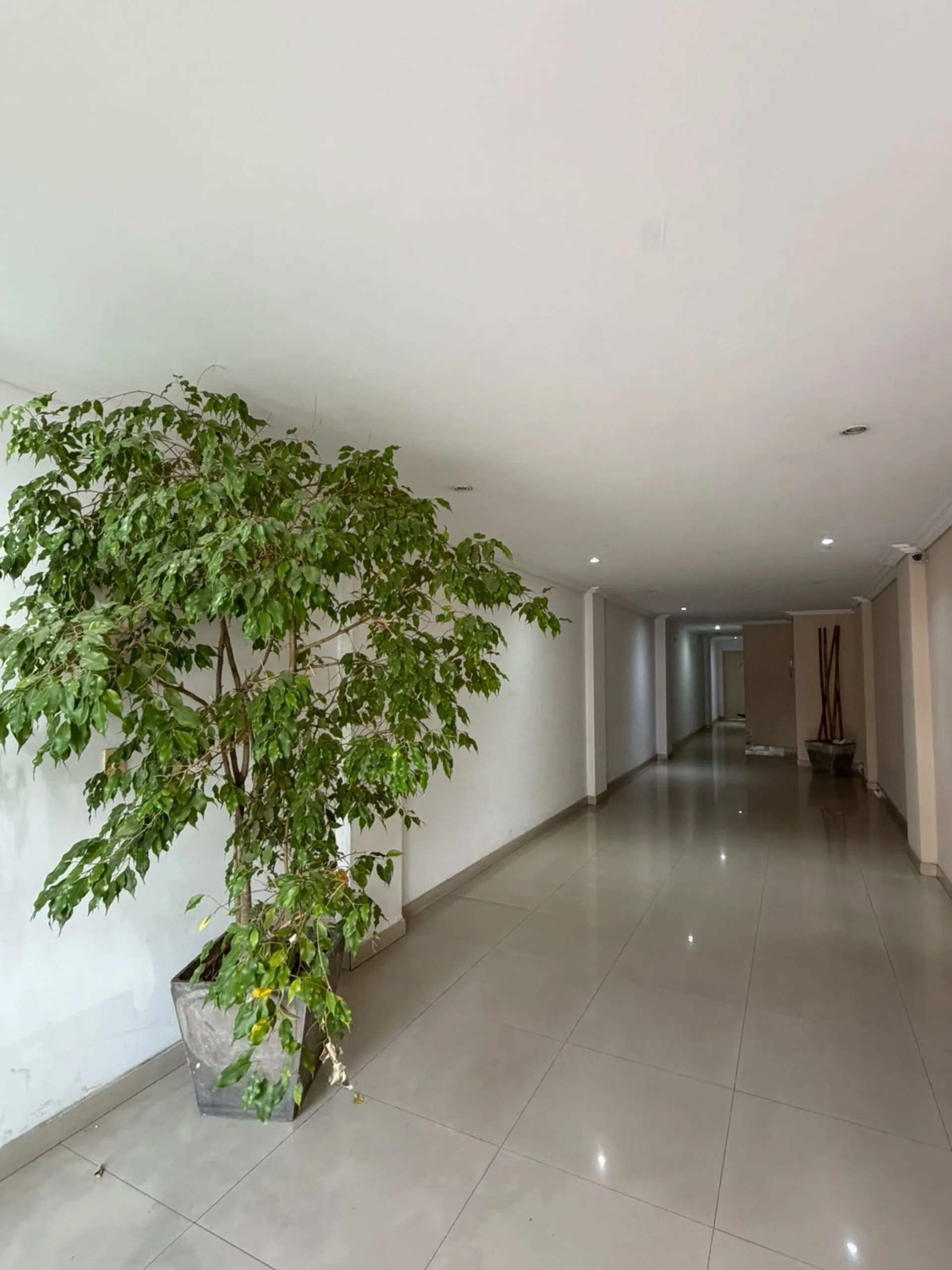 VENTA DEPARTAMENTO 2 AMBIENTES, VILLA RIACHUELO foto 2