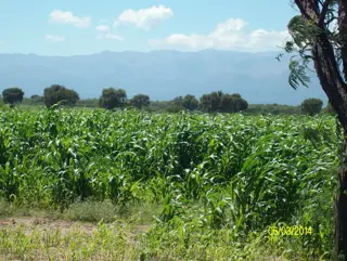 Venta Campo 5 hectareas – Ruta 16 6600 – San Luis foto 1