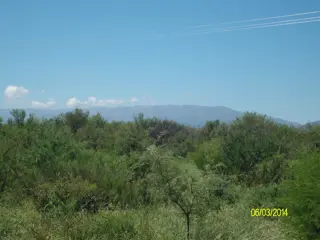 Venta Campo 5 hectareas – Ruta 16 6600 – San Luis foto 2