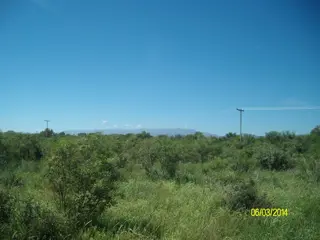Venta Campo 5 hectareas – Ruta 16 6600 – San Luis foto 3