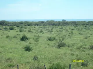 Venta Campo 5 hectareas – Ruta 16 6600 – San Luis foto 4
