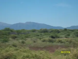 Venta Campo 5 hectareas – Ruta 16 6600 – San Luis foto 5