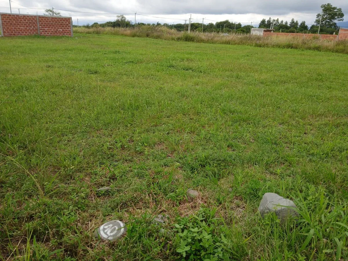 VENTA TERRENO LOTEO LA CARMINA CAMPO QUIJANO 390M2 foto 2