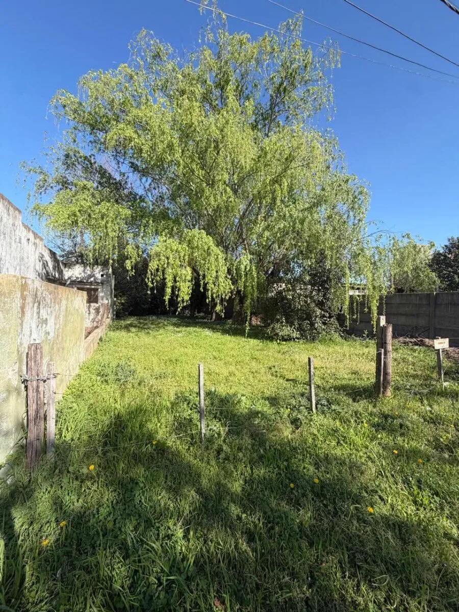 Lote sobre calle Ascasubi foto 2