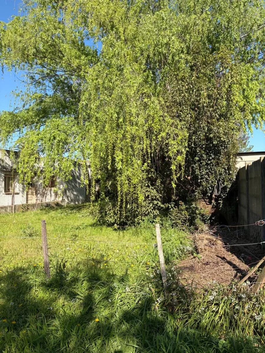 Lote sobre calle Ascasubi foto 3