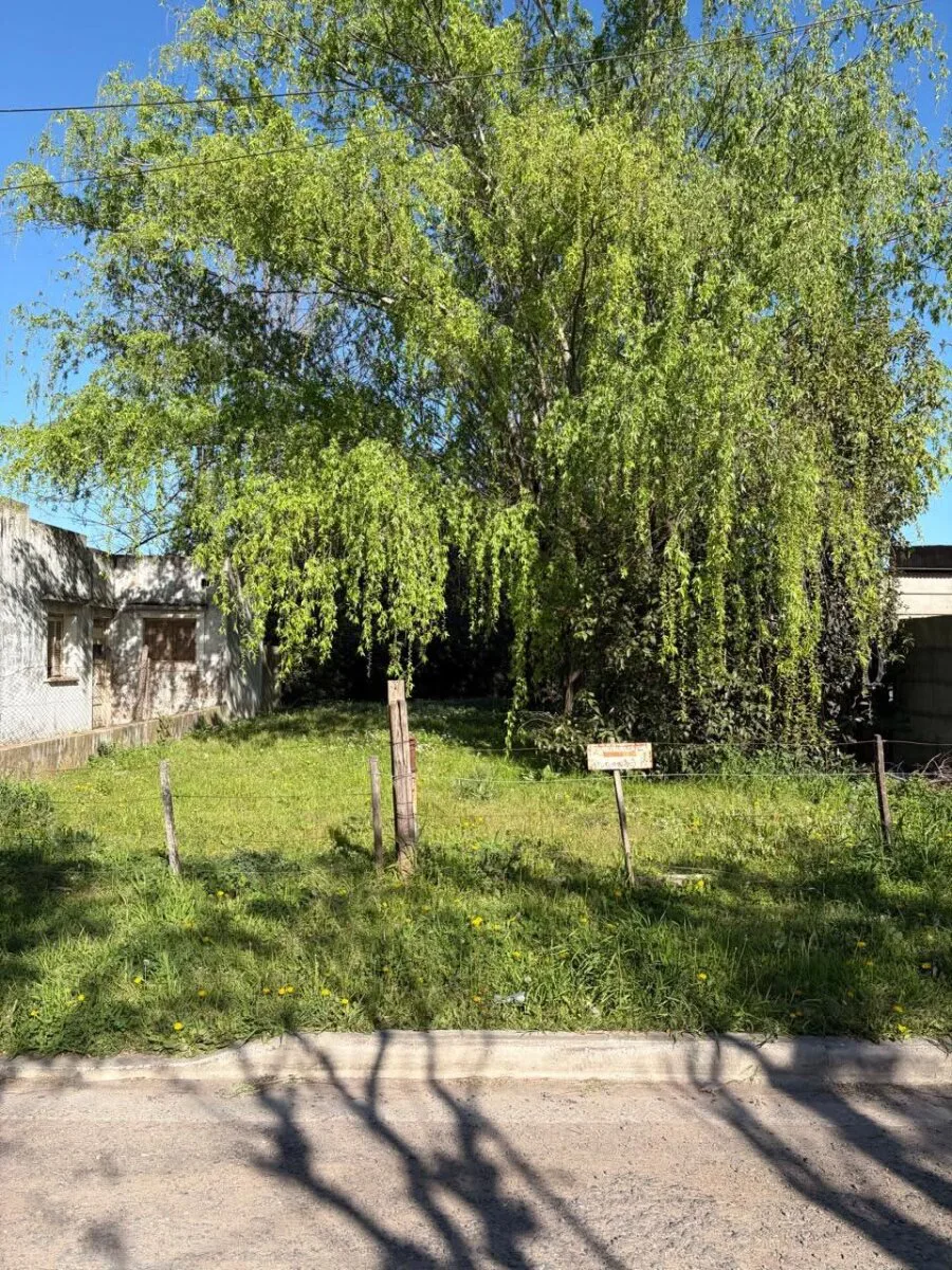 Lote sobre calle Ascasubi foto 4