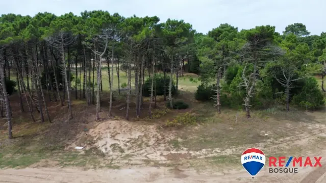 Venta Lote, Bosques Pinamar