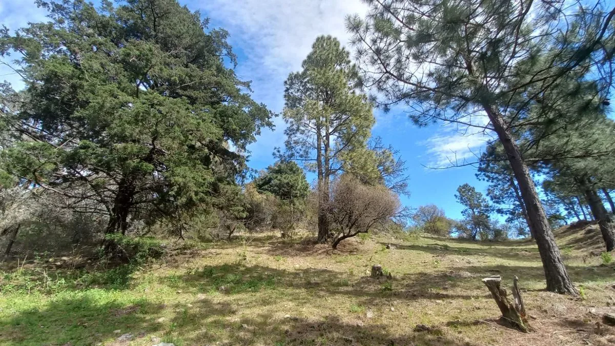 VENTA LOTE TERRENO V CIUDAD DE AMERICA OPORTUNIDAD foto 5