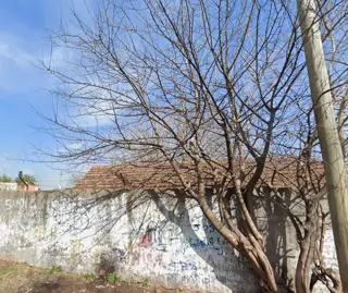 GRAN PREDIO en venta en esquina foto 2