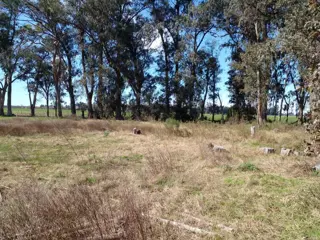 LOTE ARBOLADO CON ESCRITURA EN Bº LA PARADA -  BRANDSEN foto 2