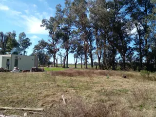 LOTE ARBOLADO CON ESCRITURA EN Bº LA PARADA -  BRANDSEN foto 3