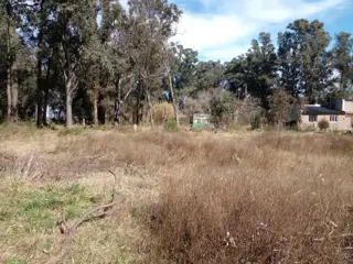 LOTE ARBOLADO CON ESCRITURA EN Bº LA PARADA -  BRANDSEN foto 5