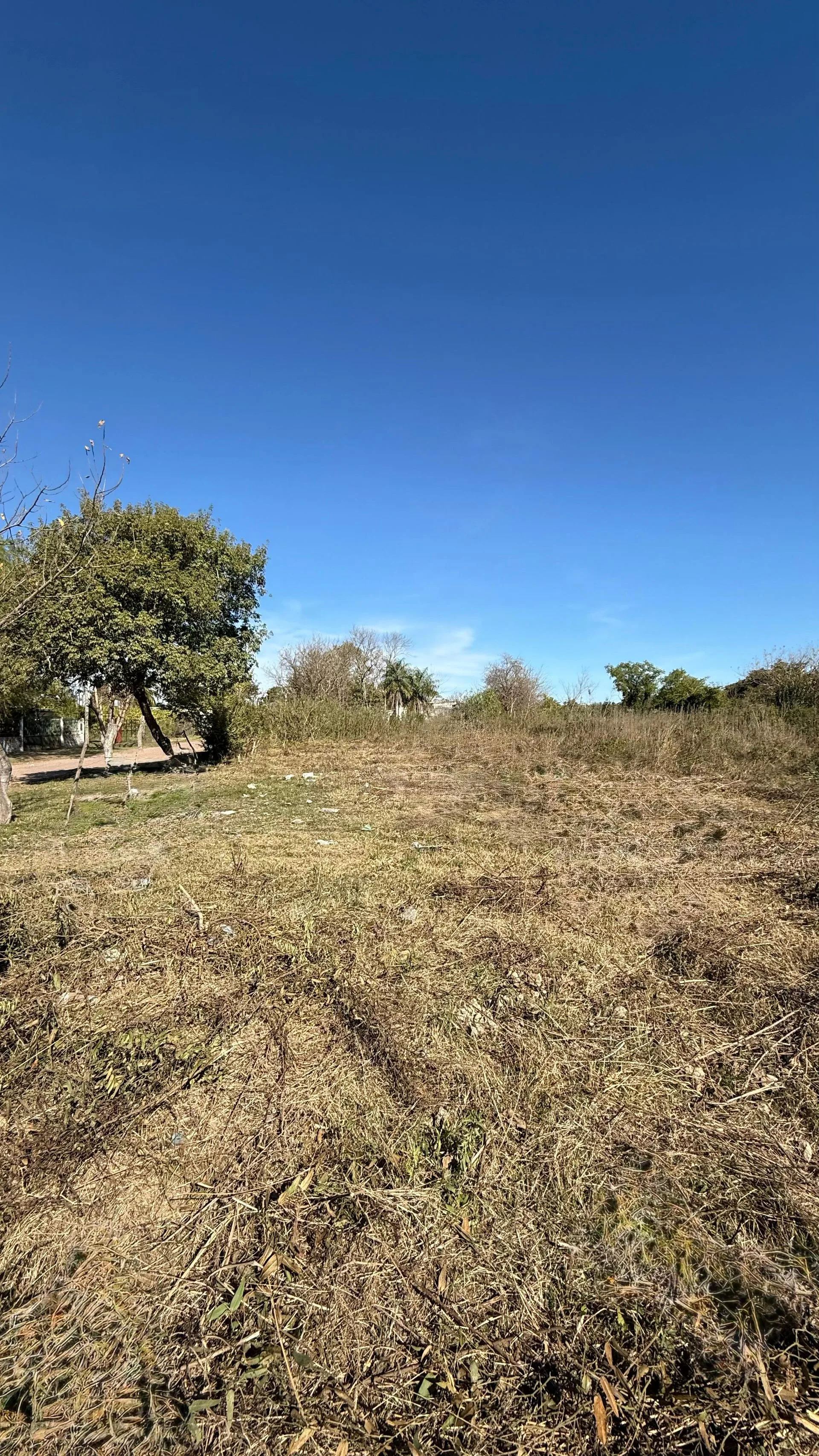 TERRENO EN VENTA GOYA CORRIENTES foto 2