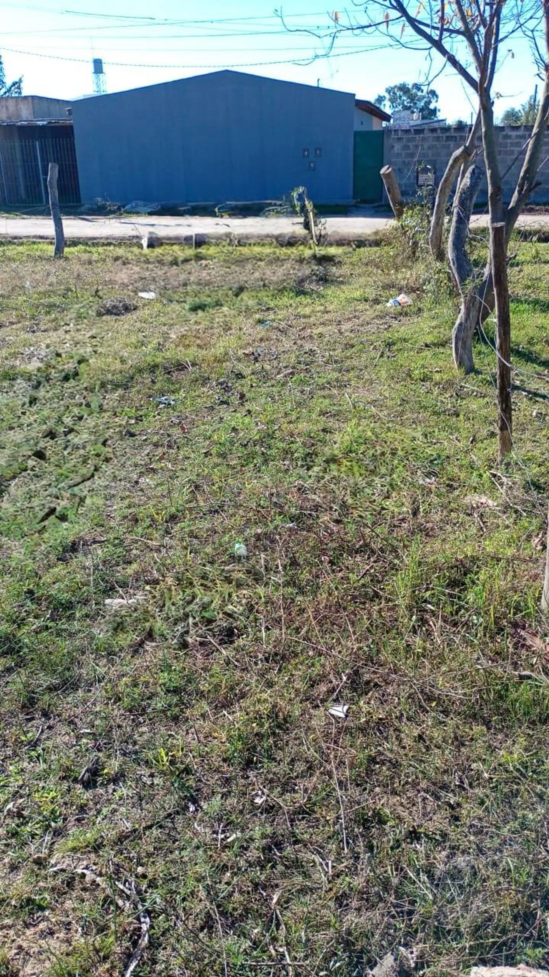 TERRENO EN VENTA GOYA CORRIENTES foto 3