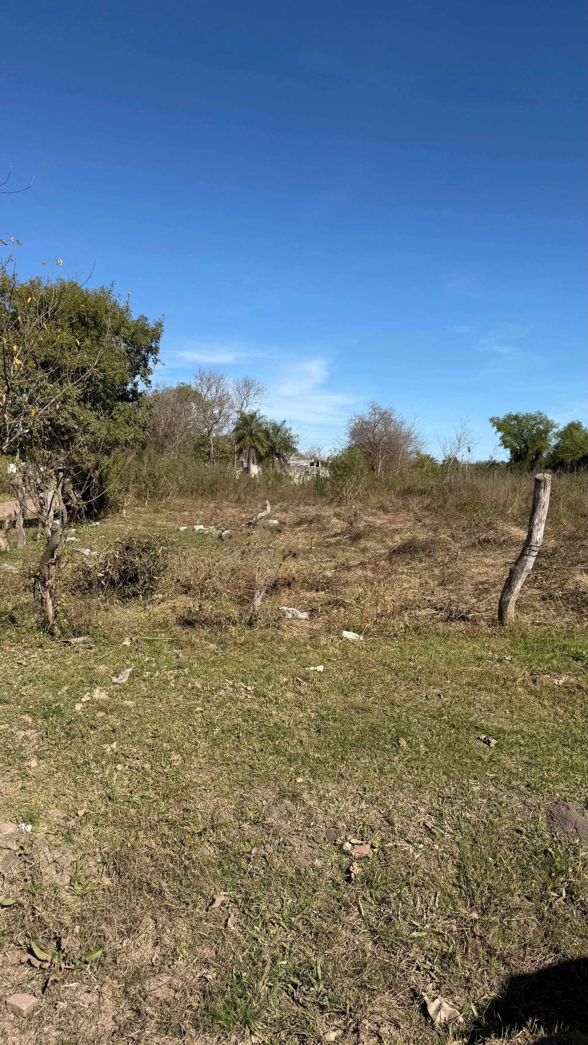 TERRENO EN VENTA GOYA CORRIENTES foto 5